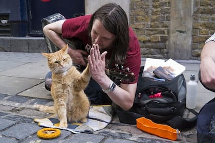 James Bowen y su gato Bob, se hicieron famosos: incluso Kate Middelton, la esposa del príncipe William, dijo presente en la alfombra roja de su película