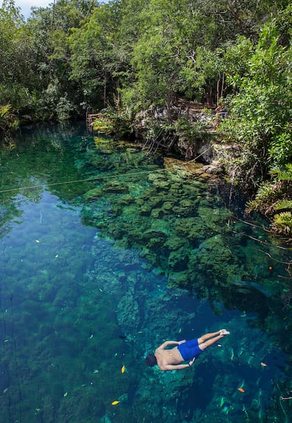 Sus aguas transparentes son ideales para la práctica de buceo