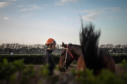 Escuela de Jockeys: sacrificios, dolores y alegrías en el camino al éxito, reflejados en otra de las grandes crónicas de revista Brando.