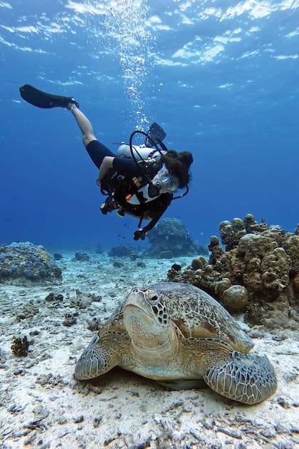 Bajo el mar, la actriz tuvo la posibilidad de ver las impresionantes estatuas hechas de material sustentable, creación del famoso escultor británico Jason deCaries Taylor