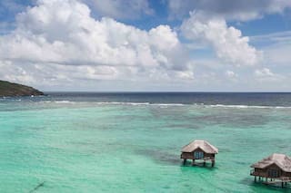 Canouan, la isla de Pink y las tortugas
