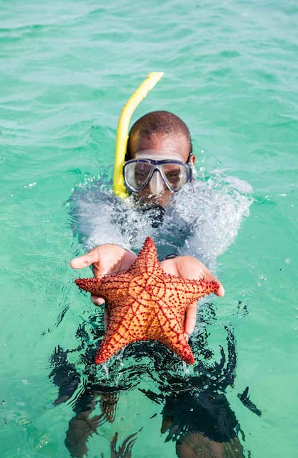 Snorkeling en las aguas transparentes de las aguas de Canouan.