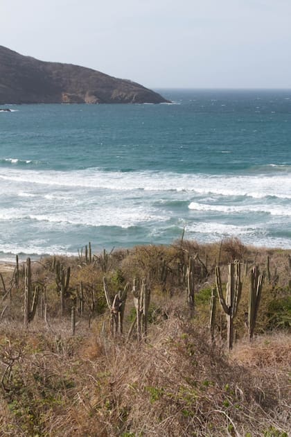 El bravo mar del Parque Nacional Tayrona.