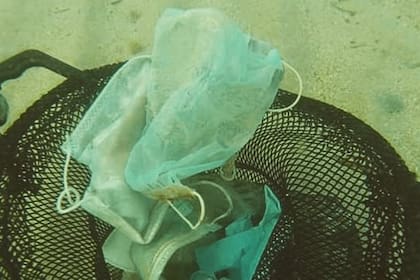 En una primera búsqueda de dos horas encontraron cuatro barbijos y diez guantes de látex