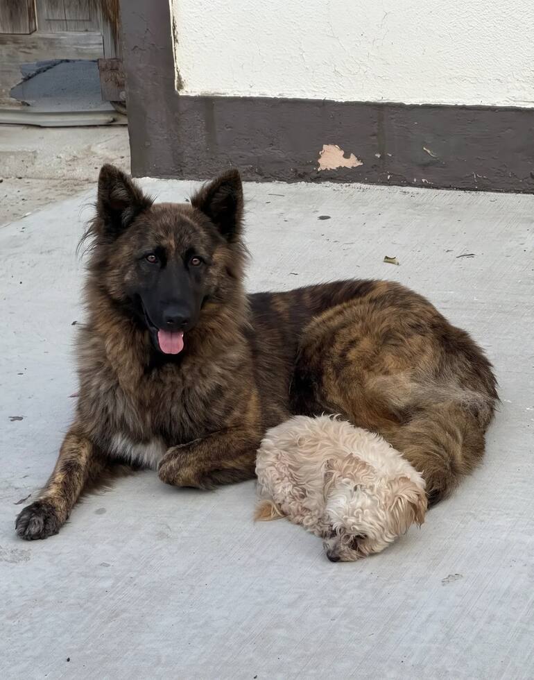 .