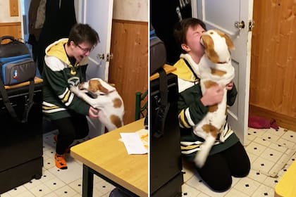 Un perro y su dueño se reencontraron después de cuatro meses sin verse y la reacción del can conmueve a los usuarios