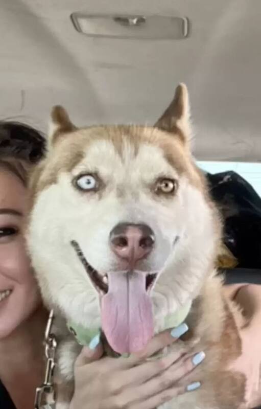 .