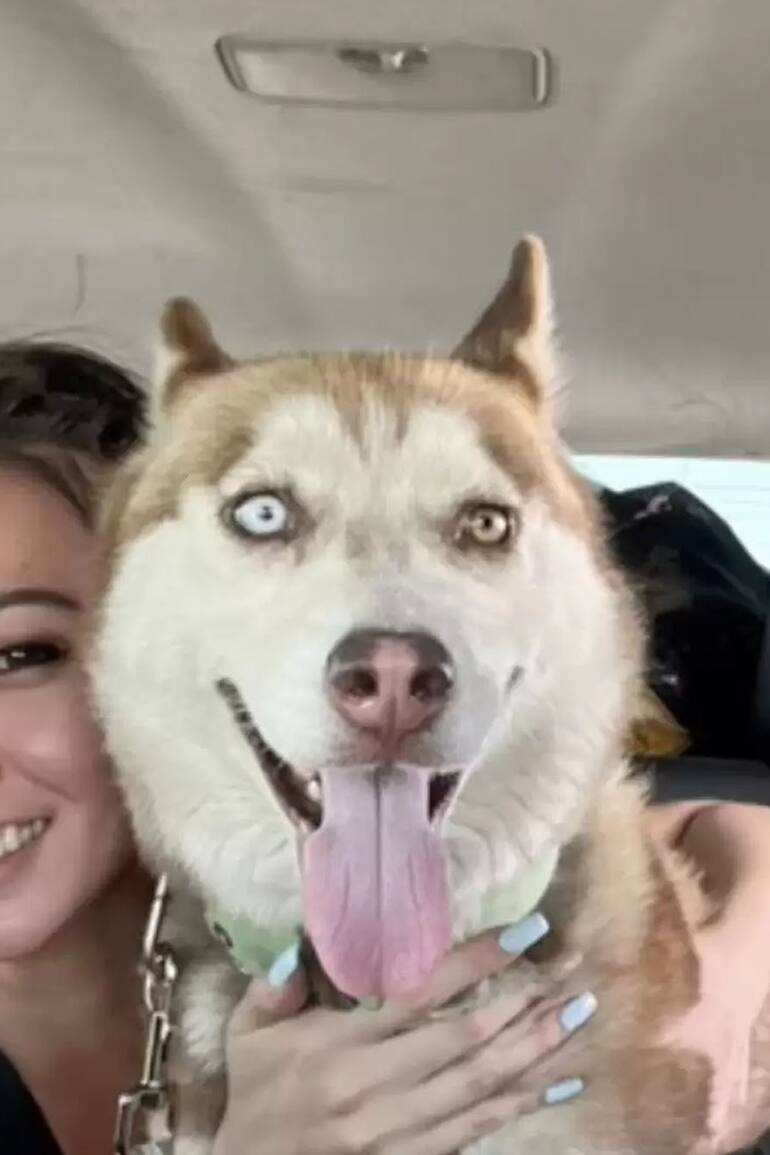 .