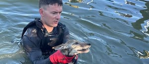 Se tiraron al lago para salvar a un perro que se ahogaba, pero lo que sacaron del agua los dejó sin palabras
