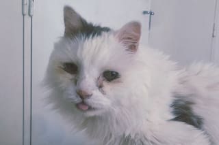 Si existe, ahí nos vemos