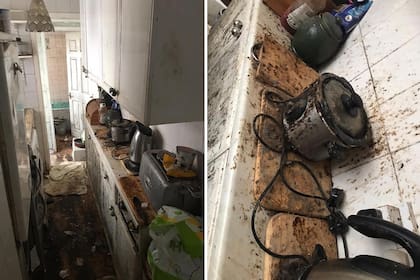 Así encontraron la cocina de la casa que no se limpió por 12 años