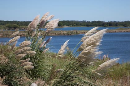 El proyecto Verazul fue rebautizado Blü – Comunidad del lago