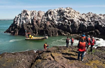 El mar en Isla Pingüino es tan abierto que hasta ahora ha sido imposible construir un muelle. El desembarco es "a pelo".