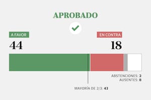 Cómo votó cada senador el pliego de Michelli, que dividió a La Libertad Avanza