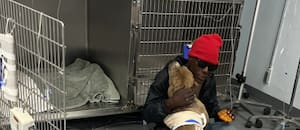 No tenía recursos, pero acampó en la puerta de la veterinaria hasta que ayudaron a su perra herida