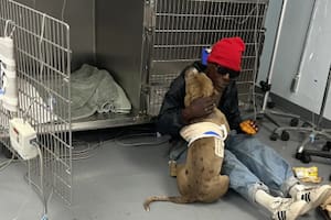 No tenía recursos, pero acampó en la puerta de la veterinaria hasta que ayudaron a su perra herida