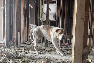 Se refugió de una tormenta de nieve en una casa en ruinas, hasta que un vecino lo vio