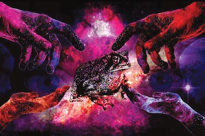 En su centro, el actor ofrece una experiencia “de sanación” mediante un ritual chamánico en el que se inhala veneno del sapo bufo (nativo del desierto de Sonora, en México). La sustancia produce potentes efectos alucinógenos y según pregonan “despierta un estado superior de conciencia”.