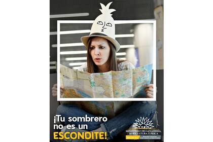 Imagen de la campaña "La barrera la armamos todos" organizada por el área de Barreras Sanitarias de la Dirección General de Inocuidad Alimentaria del MGAP para evitar que los turistas ingresen en Uruguay productos de origen animal o vegetal que pongan en riesgo la bioseguridad de ese país