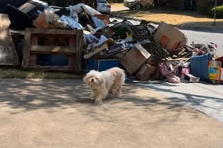 Y la abandonaron junto a un montón de basura: “Esperó durante tres días que regresaran por ella”
