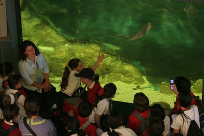 La idea del Museo era asombrar a los visitantes con muestras, objetos y puestas que no esperaban ver