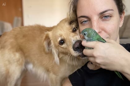 Descartado por su madre y salvado por un perro, un pichón de cotorra desafió un brutal diagnóstico: “Muerto va a estar mejor”