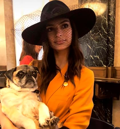 Su perro y fiel compañero también estuvo presente