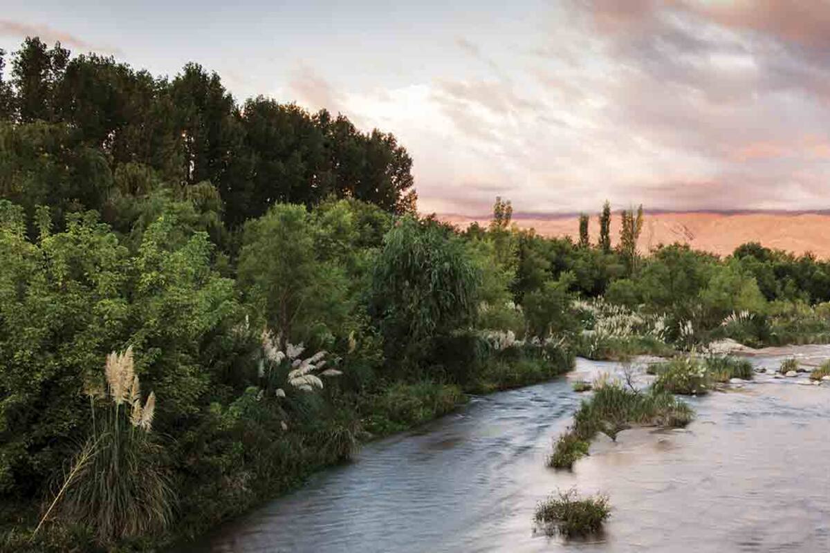 Aire informal y buen gusto en la posada La Teresita, de San Javier.
