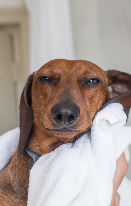 .