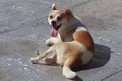 .