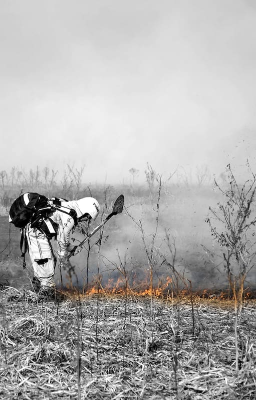 Crisis ambiental. Por qué se quema y quiénes son los responsables de los incendios en el Delta