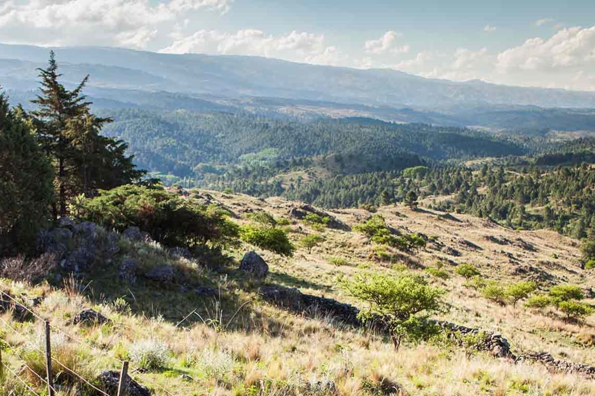 Camino hacia El Durazno. Se ve, al fondo, la quebrada que forma el río homónimo.