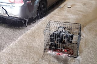 Se despertó a la madrugada por un ladrido y salvó una vida en medio de una feroz tormenta de nieve