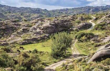 Las sierras de Traslasierra, de donde se extrae la materia prima para elaborar el fernet.