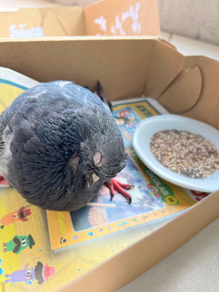 .