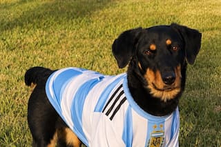 Tenía familia, pero cuando dejó de ser cachorra su realidad cambió: “La descartaron como un sillón viejo”
