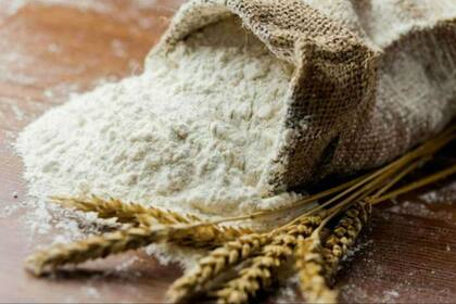 Hay variedades de trigo reducido en gluten y que mejoran la vida útil de las harinas
