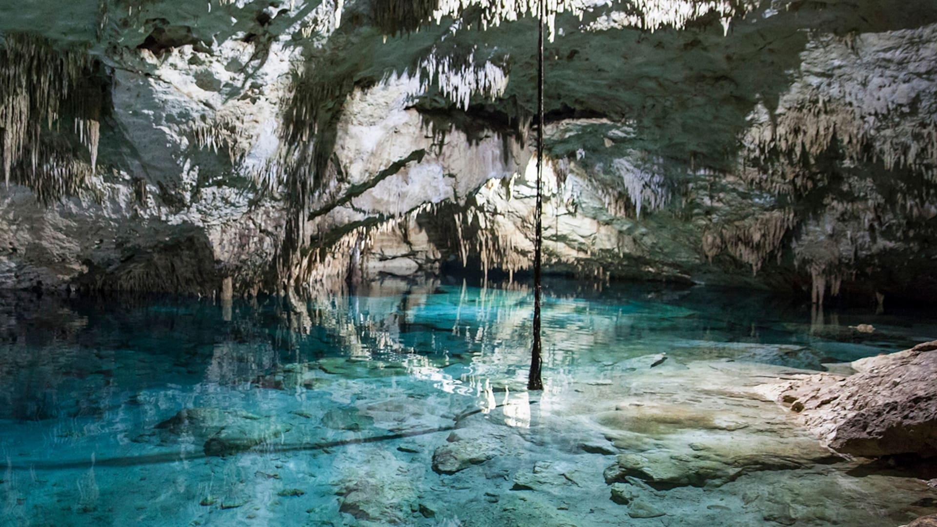 Los cenotes no solo son una maravilla digna de ser vista y fotografiada, sino que permiten una variada gama de actividades