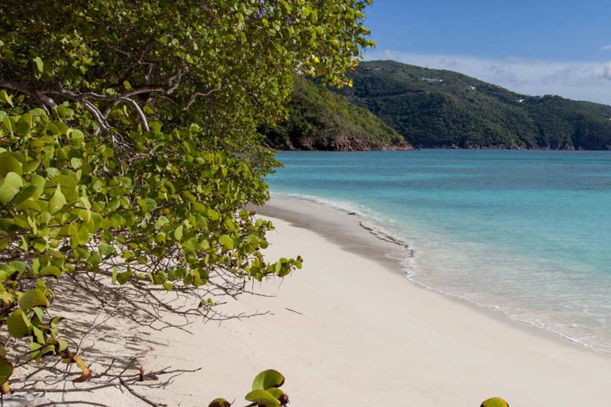 Playas desiertas en la White Bay de Guana Island.