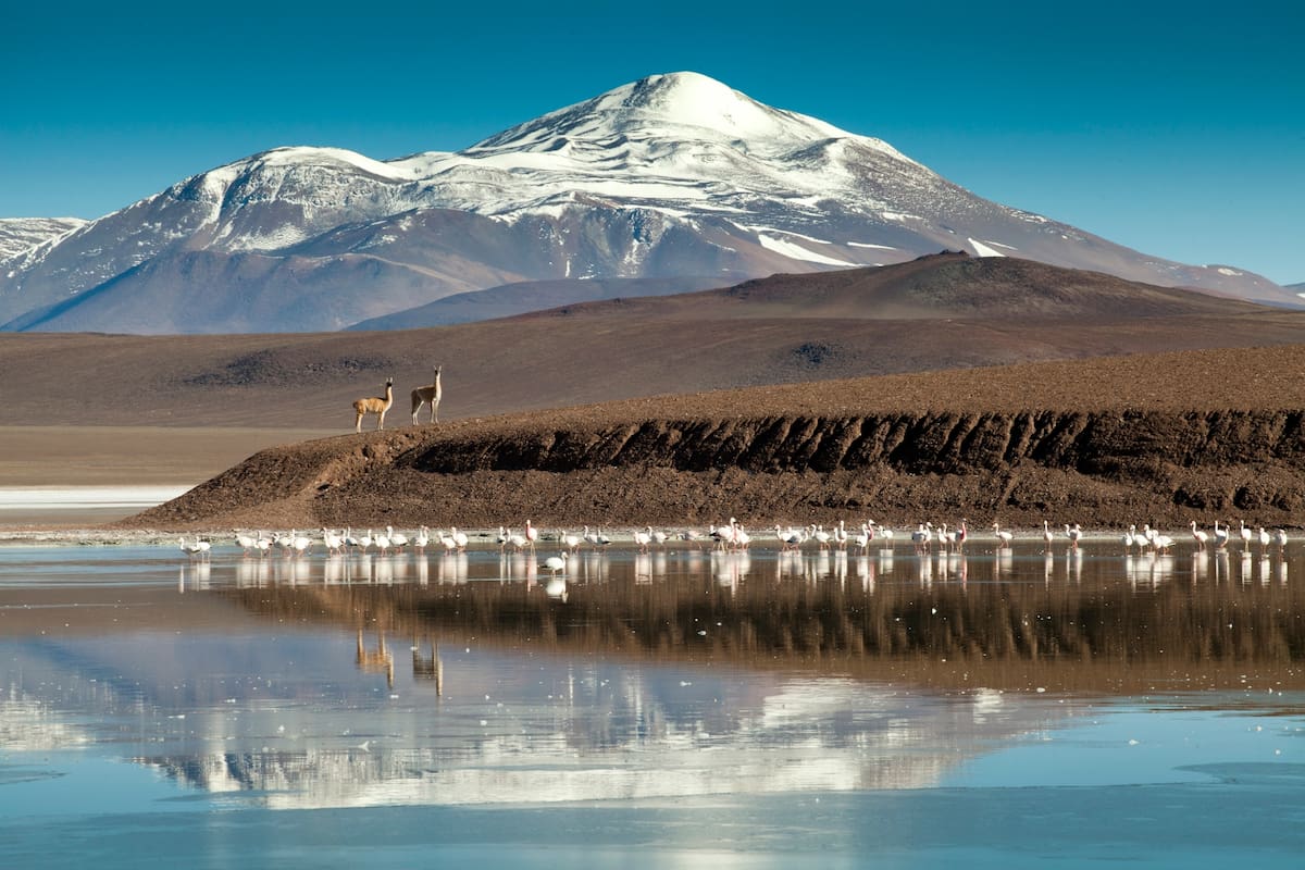 Norte desconocido: en plena cordillera de los Andes, una postal única