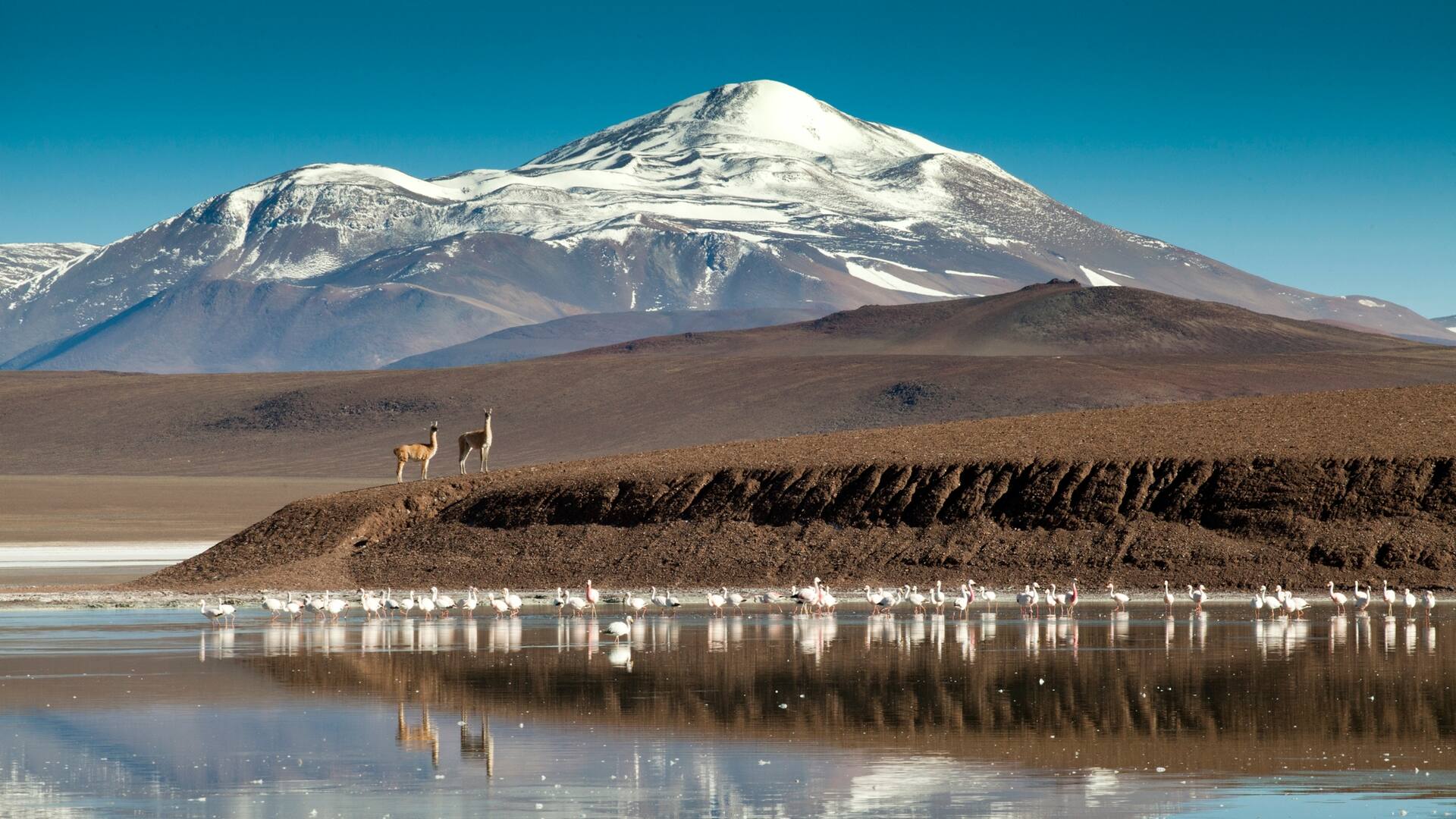 Norte desconocido: en plena cordillera de los Andes, una postal única