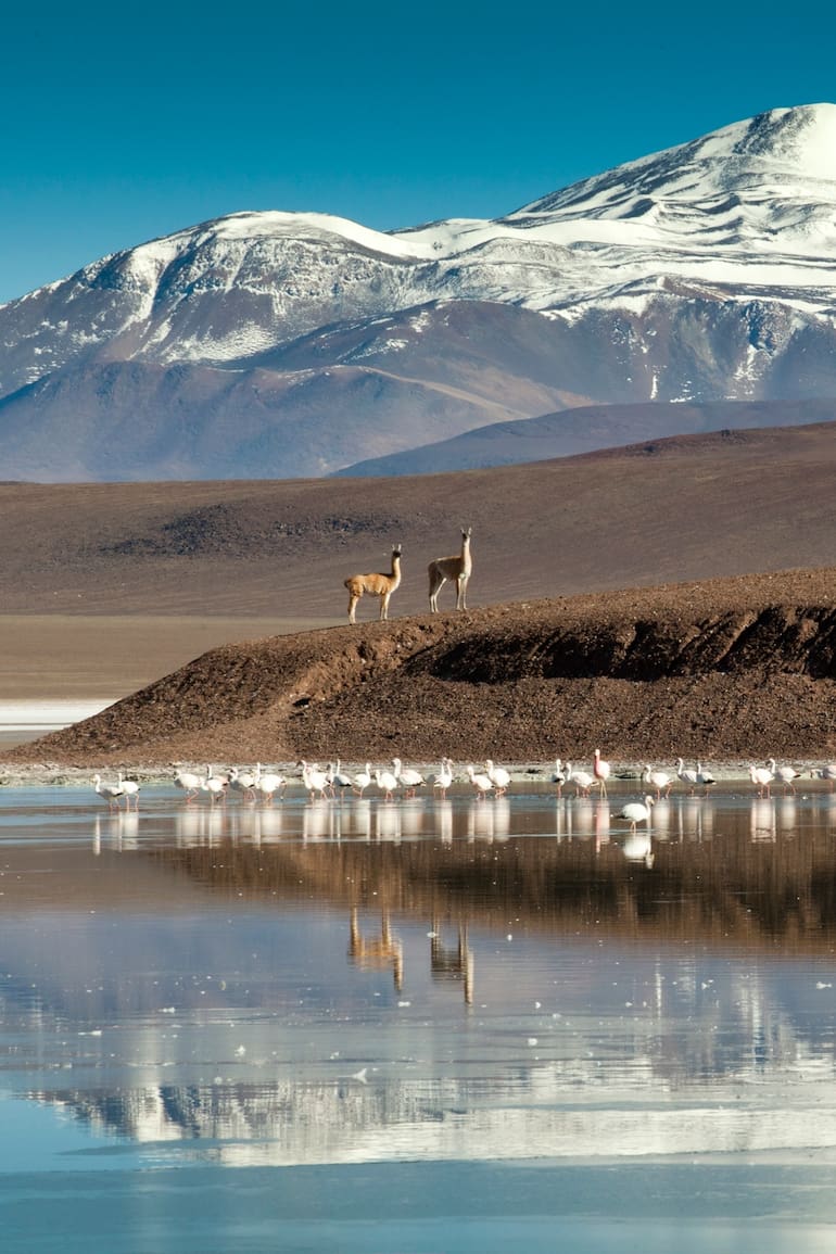 Norte desconocido: en plena cordillera de los Andes, una postal única