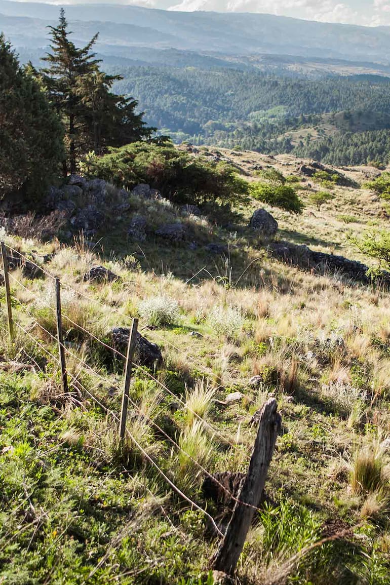 Camino hacia El Durazno. Se ve, al fondo, la quebrada que forma el río homónimo.