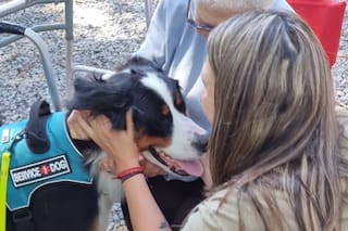 El perro de apoyo emocional que le cambió la vida de mujer mayor