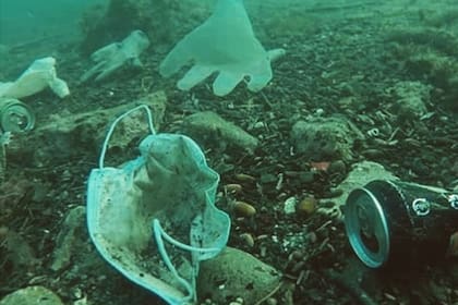 Una ONG francesa alertó sobre los efectos de contaminación de residuos sanitarios por la pandemia de coronavirus