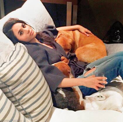 Meghan siempre fue fanática de los perros