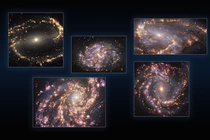 01-01-1970 Cinco galaxias vistas con MUSE, instalado en el VLT de ESO, a varias longitudes de onda de luz POLITICA SOCIEDAD ESO/PHANGS