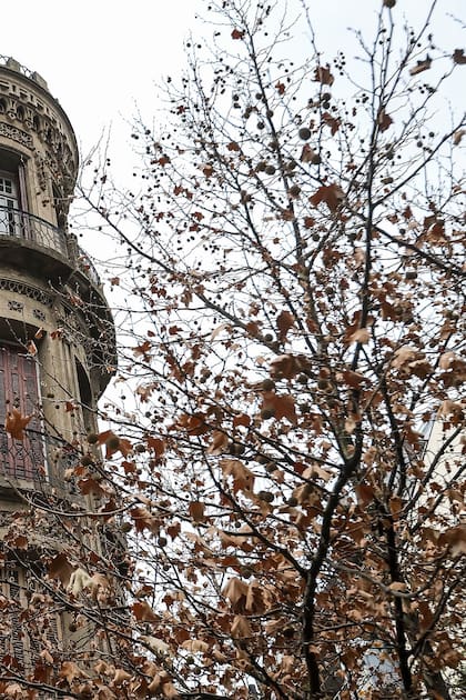 Torre del Fantasma: la historia del edificio de vanguardia inspirado en el modernismo catalán que esconde una leyenda trágica