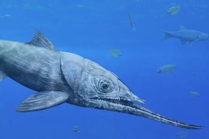 02/02/2024 Un pez del Devónico desarrolló una de las mordidas más extremas. Un nuevo análisis de restos fosilizados de un antiguo pez descubiertos en Polonia en 1957 indican que puede ser uno de los principales aspirantes a la mordida más extrema de la naturaleza. POLITICA INVESTIGACIÓN Y TECNOLOGÍA BEAT SCHEFFOLD AND CHRISTIAN KLUG