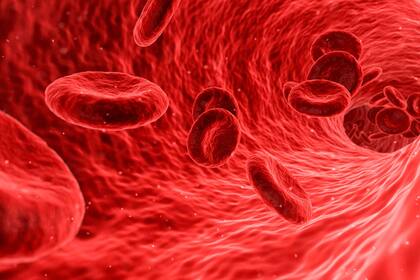 02/12/2020 Sangre ESPAÑA EUROPA MADRID SALUD CIBEROBN